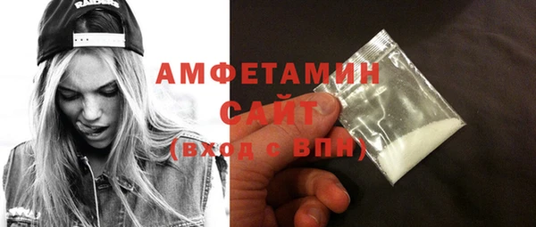 шишки Гусиноозёрск