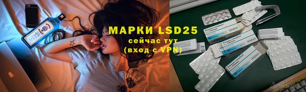 хмурый Магас