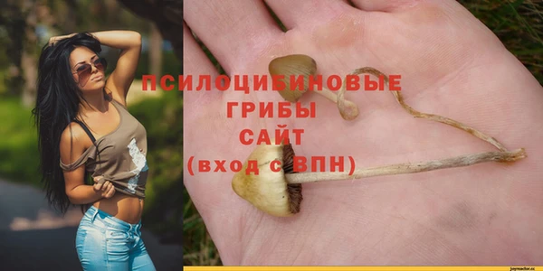спайс Алзамай