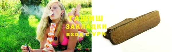 хмурый Магас