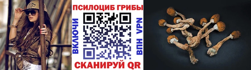 Псилоцибиновые грибы Magic Shrooms  сколько стоит  блэк спрут ONION  Чапаевск 